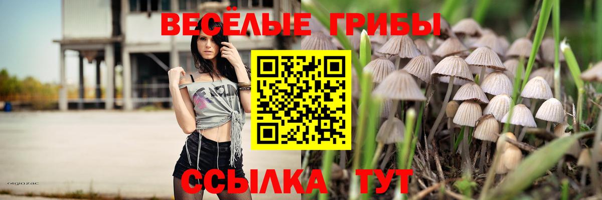 Псилоцибиновые грибы Magic Shrooms  Вход с VPN  наркошоп  Ейск 